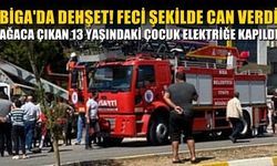 BİGA'DA DEHŞET!: AĞACA ÇIKAN 13 YAŞINDAKİ ÇOCUK ELEKTRİĞE KAPILDI