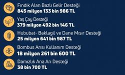 Çiftçilere yaklaşık 1,3 milyar liralık tarımsal destek ödemesi bugün yapılacak