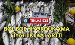 Çanakkale'de sarıkanat ikiye katladı