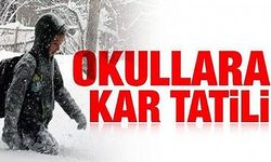 Art arda kar tatili kararları!