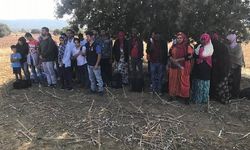 Çanakkale'de 32 mülteci yakalandı