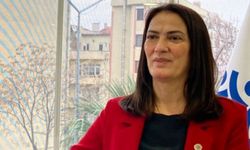 İl başkanlığından sonra partiden de istifa etti!