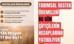 Tarımsal destekleme ödemeleri bugün çiftçilerin hesaplarına yatıyor