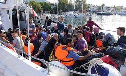 Çanakkale'de 118 kaçak göçmen yakalandı