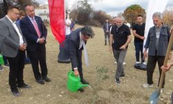 ÇOMÜ'de yangından etkilenen bölgeye fidan dikildi (VİDEO)