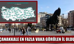 Nüfusa oranla en fazla vaka görülen il Çanakkale oldu (VİDEO)