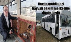 Belediye, hurda otobüsleri hayvan bakım merkezine dönüştürdü (VİDEO)