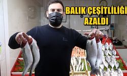 Çanakkaleli balıkçılar açılamadı, tezgahta çeşitlilik azaldı (VİDEO)