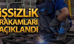 İşsizlik oranı 1,1 puan azaldı