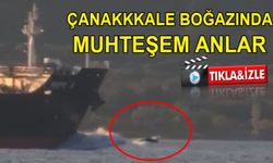 Çanakkale Boğazında yunuslar gemiyle yarıştı (VİDEO)