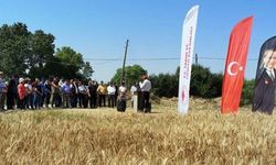 Yeni Buğday ve Arpa Çeşitleri Çiftçilere İki Ayrı Tarla Günüyle Tanıtıldı