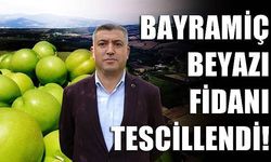 'Bayramiç Beyazı' fidanı tescillendi (VİDEO)