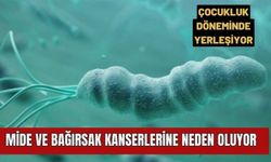 Çocukluk döneminde yerleşiyor, mide ve bağırsak kanserlerine neden oluyor