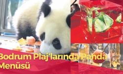 Bodrum Plajlarında 'Panda Menüsü' 