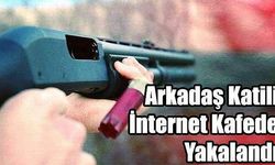 Gökçeada'da arkadaş cinayeti!