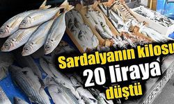 Sardalyanın kilosu 20 liraya düştü