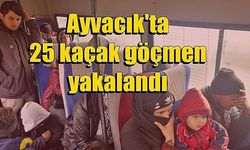 Ayvacık'ta 25 kaçak göçmen yakalandı (VİDEO)