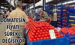 Domatesin fiyatı sürekli değişiyor!