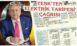 TESK’TEN ‘ELEKTRİK TARİFESİ’ ÇAĞRISI