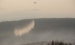 Yangına havadan güçlü müdahale devam ediyor