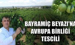 Bayramiç Beyazı'na Avrupa Birliği tescili (VİDEO)