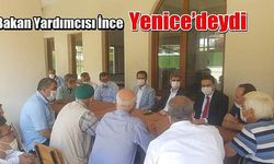 Bakan Yardımcısı İnce Yenice’deydi