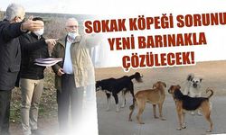 Sokak köpeği sorunu yeni barınakla çözülecek!