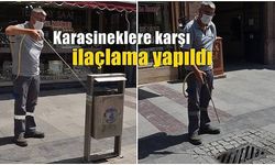 Karasineklere karşı ilaçlama yapıldı