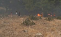 Çanakkale’deki orman yangınında can pazarı kameraya yansıdı (VİDEO)