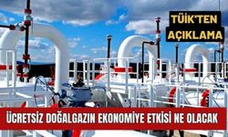 TÜİK'ten ücretsiz doğalgaz tüketiminin TÜFE'ye etkisine ilişkin açıklama