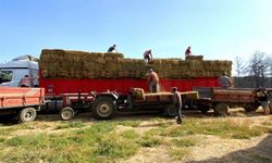 Kocaeli’den Çanakkale’deki yangın mağduru çiftçilere destek