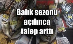 Balık sezonu açılınca talep arttı