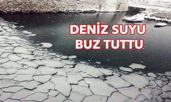 Aynı manzara 2010 yılında yaşanmıştı!