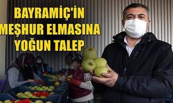 Bayramiç'in meşhur elmasına yoğun talep (VİDEO)