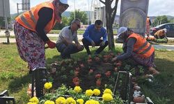 Çan'da park ve bahçeler çiçek açtı