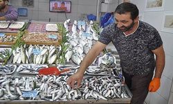 “Palamut balığını bu sene unutmamız lazım”  