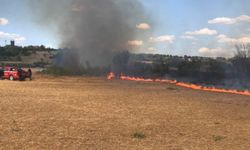 Anız yangını okula ve otoparka sıçramadan söndürüldü