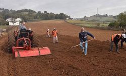 Çan Belediyesi 20 bin salep fidesini toprakla buluşturuyor