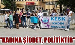 'Kadına yönelik şiddet politiktir'