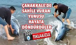 Kumsala vuran yunusu denizle buluşturdu (VİDEO)