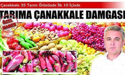 Çanakkale 35 tarım ürününde ilk 10 içinde 