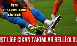 BAL'dan TFF 3. Lig'e yükselen takımlar belli oldu