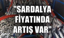 'Sardalya fiyatında artış var'