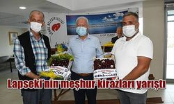 Lapseki’nin meşhur kirazları yarıştı