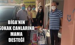 Biga’nın sokak canlarına mama desteği