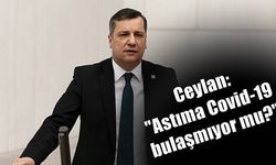 Ceylan: 'Astıma Covid-19 bulaşmıyor mu?'