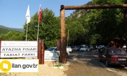 TABİAT PARKI ALANI DÜZENLENECEK