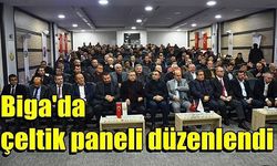 Biga'da çeltik paneli düzenlendi