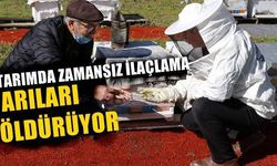 Tarımda zamansız ilaçlama arıları öldürüyor (VİDEO)