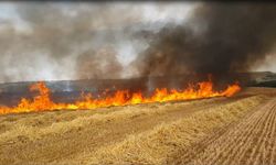 Aşırı sıcaklar hububat tarlalarında yangın riskini artırıyor